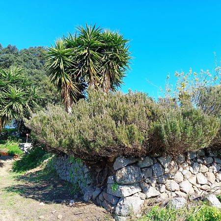 Vinha do Gaio Montes de Cima Exterior foto