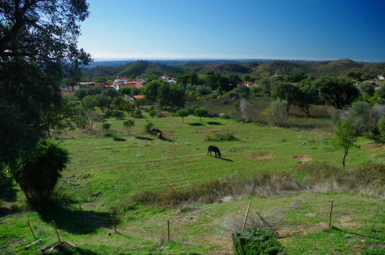 Vinha do Gaio Montes de Cima Exterior foto