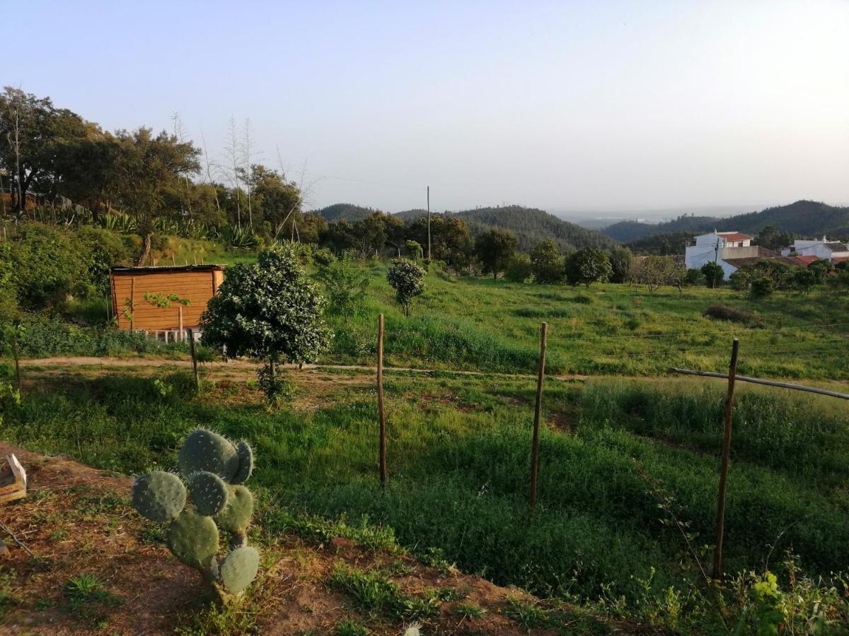 Vinha do Gaio Montes de Cima Exterior foto