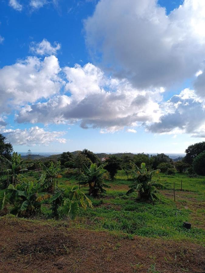 Vinha do Gaio Montes de Cima Exterior foto